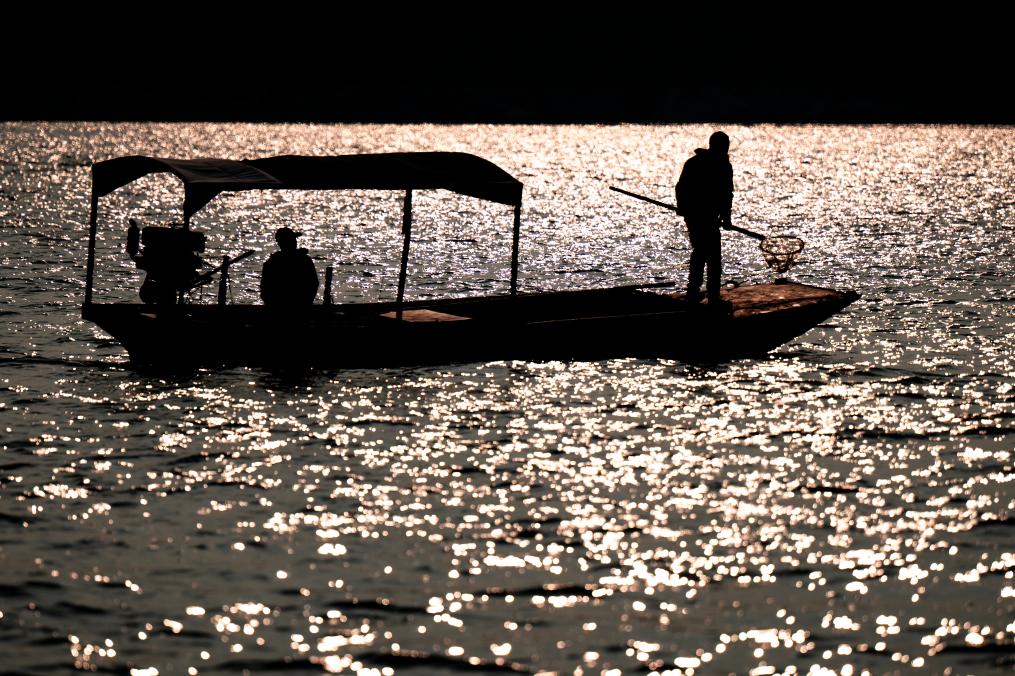 1733967881770427.jpg 03.jpg