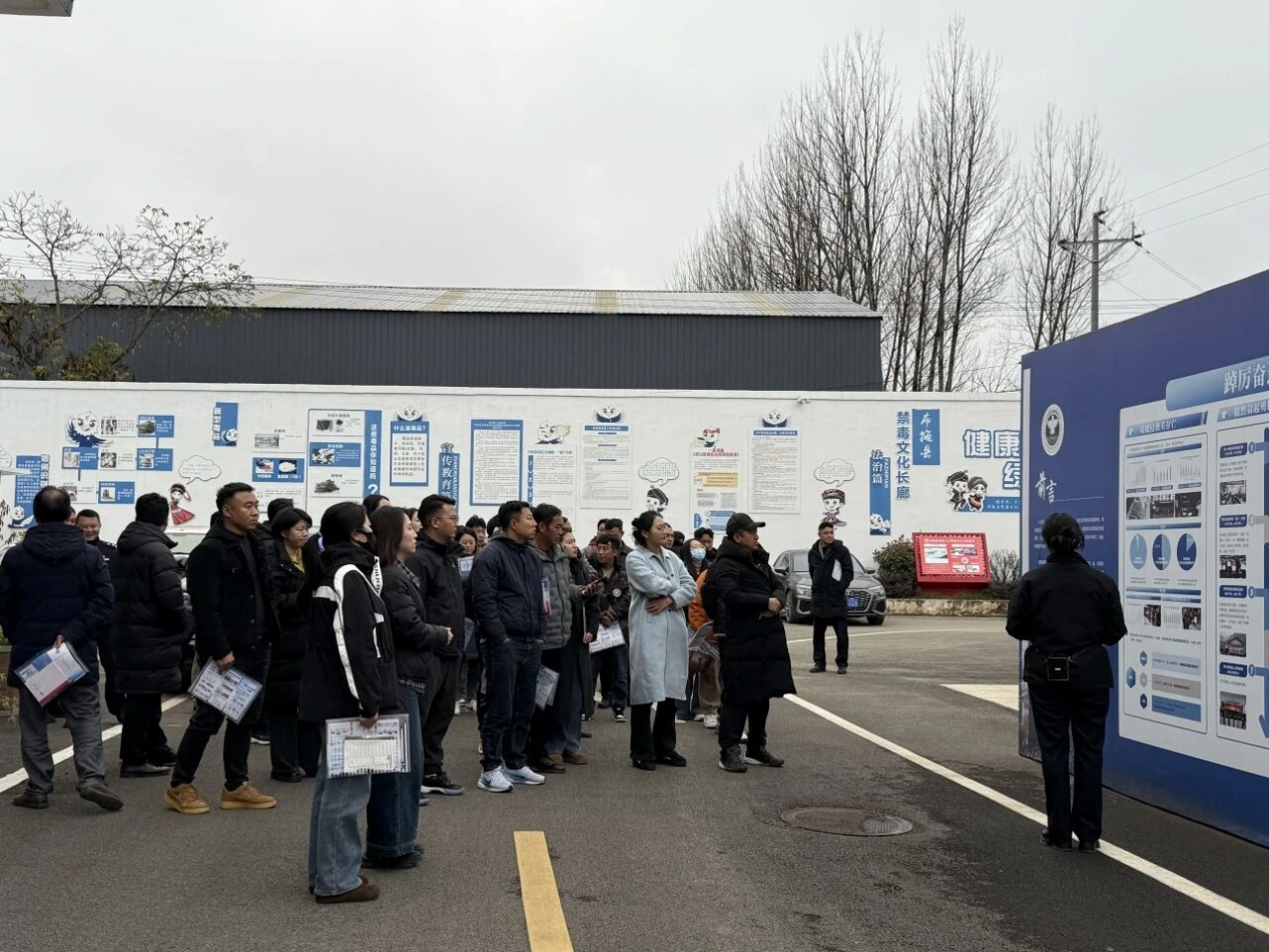 1764137686656062.png 图片 5.png